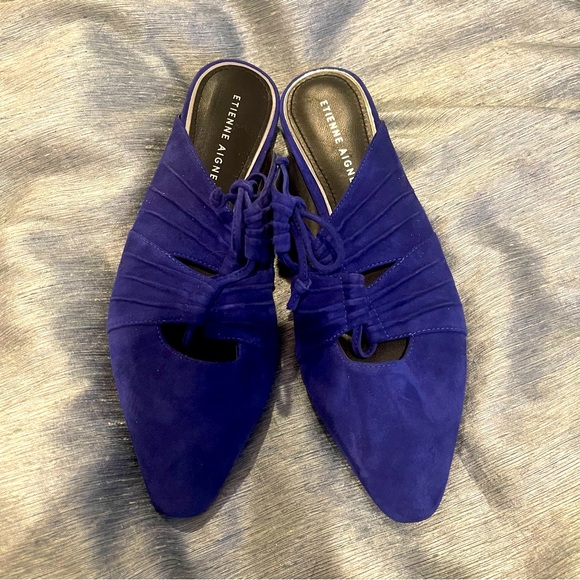 etienne aigner mules